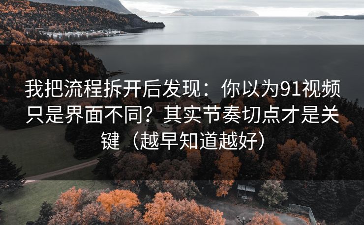 我把流程拆开后发现：你以为91视频只是界面不同？其实节奏切点才是关键（越早知道越好）